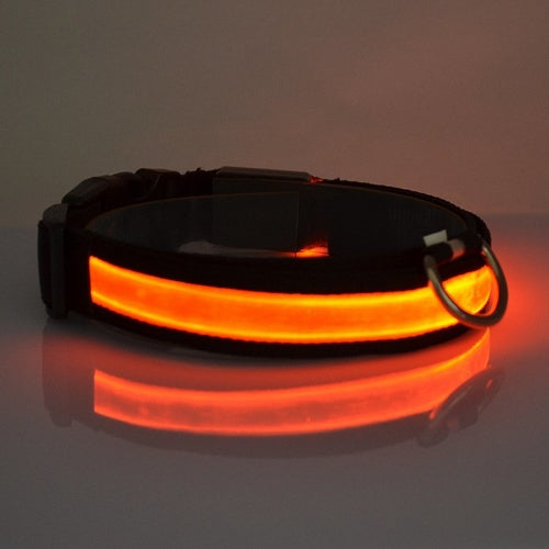 LED light-up dog collar