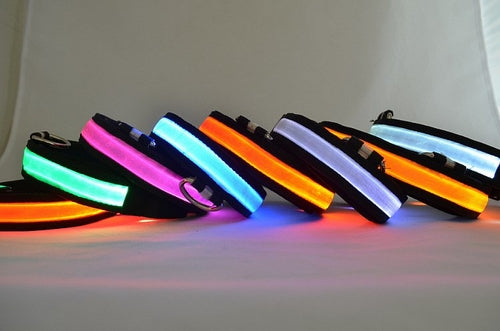 LED light-up dog collar