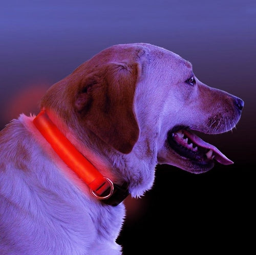LED svetleča ovratnica za pse