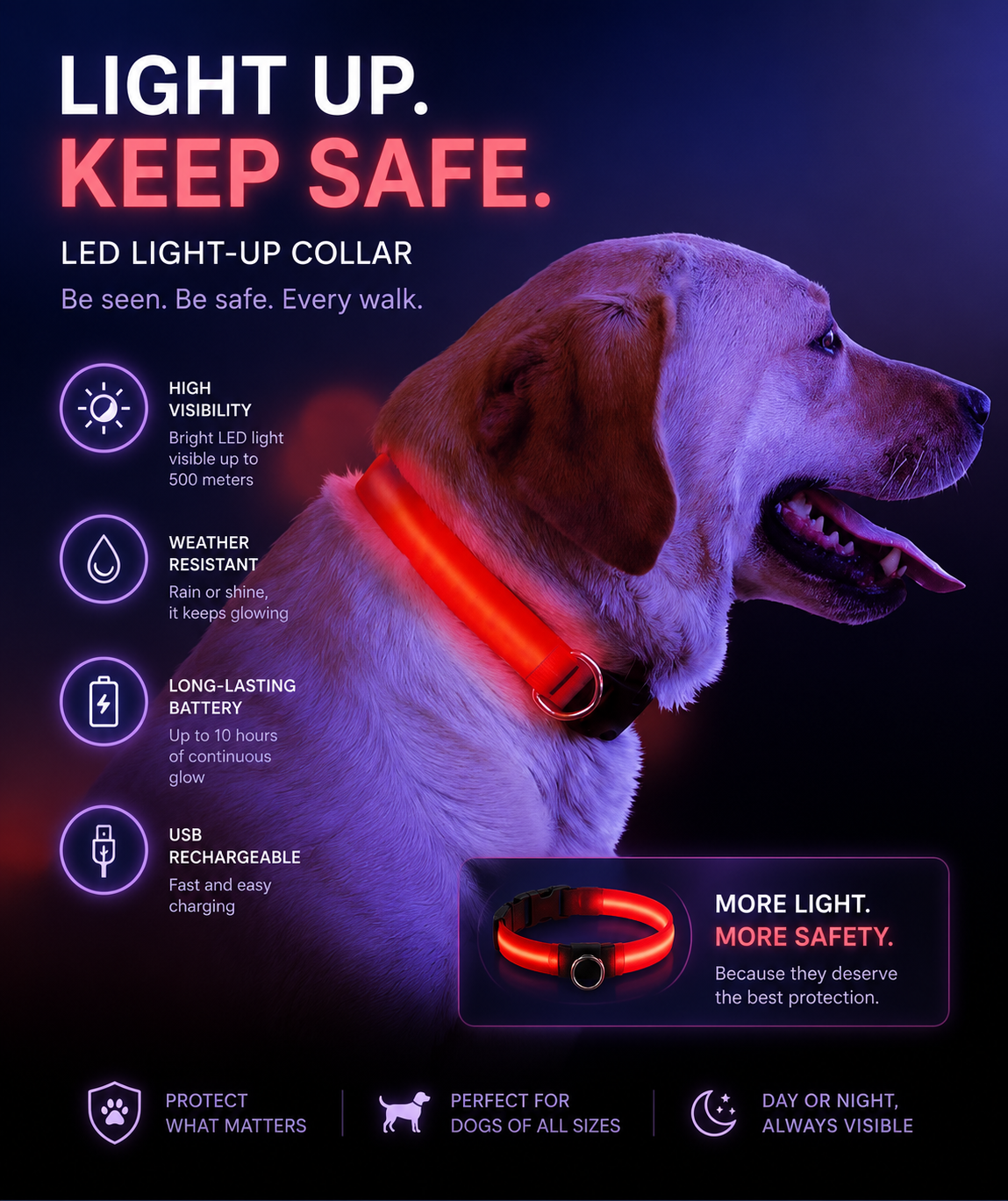 Leuchtendes LED-Hundehalsband