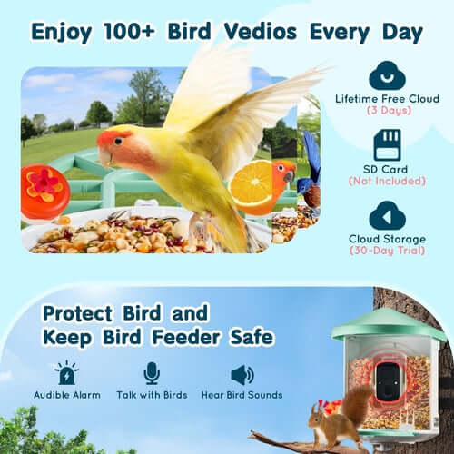 Intelligente Vogelfutterstation mit Kamera