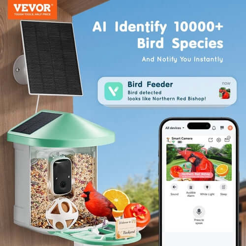Intelligente Vogelfutterstation mit Kamera